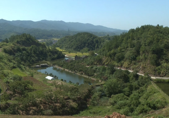 黄冈罗田县高效推进16座病险水库除险加固工程建设